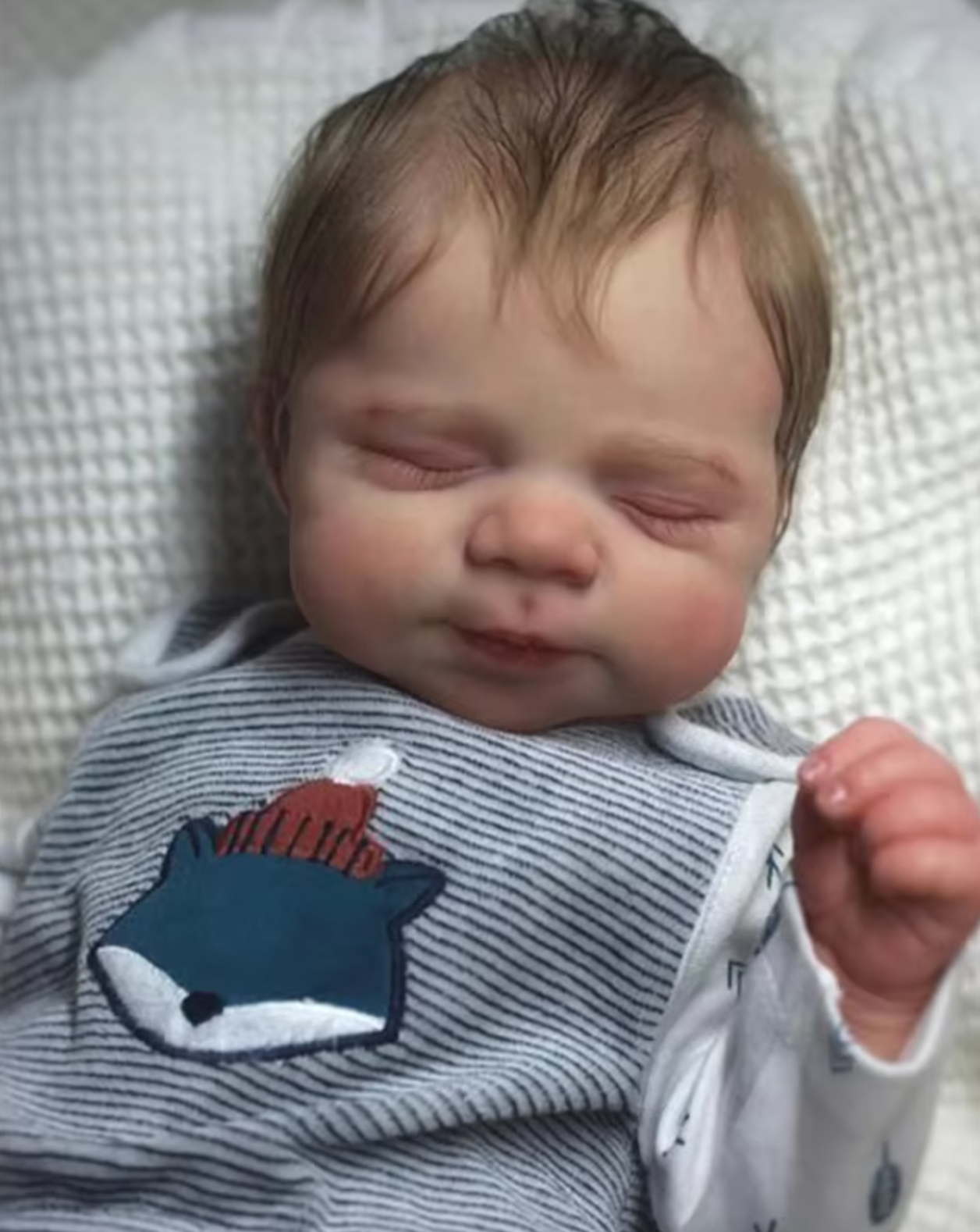 Pascale – 48 cm Realistische Reborn Babypuppe im Schlaf, Handgefertigte Silikonpuppe mit 3D-Hautmalerei