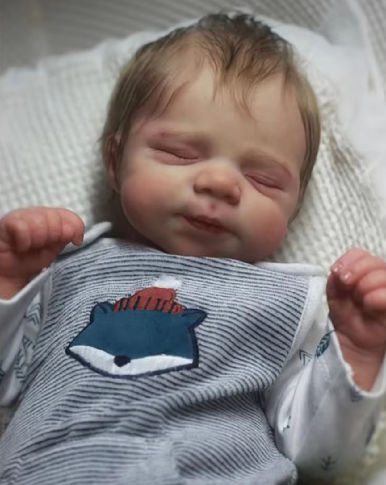 Pascale – 48 cm Realistische Reborn Babypuppe im Schlaf, Handgefertigte Silikonpuppe mit 3D-Hautmalerei